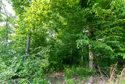 property photo for Cedar Creek Tract 28, 9.94 acres for sale in Perry County, Tennessee