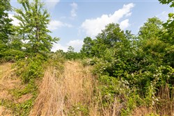 property photo for Cedar Creek Tract 28, 9.94 acres for sale in Perry County, Tennessee