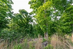 property photo for Cedar Creek Tract 28, 9.94 acres for sale in Perry County, Tennessee