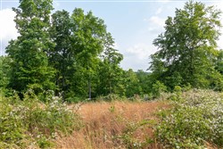 property photo for Cedar Creek Tract 28, 9.94 acres for sale in Perry County, Tennessee