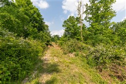 Cedar Creek Tract 29