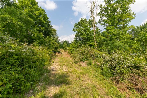 Cedar Creek Tract 29