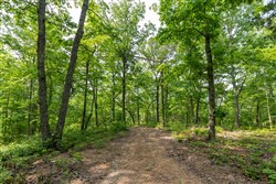 property photo for Cedar Creek Tract 3, 2.67 acres for sale in Perry County, Tennessee
