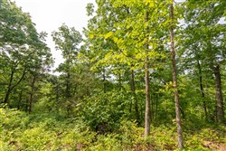 property photo for Cedar Creek Tract 3, 2.67 acres for sale in Perry County, Tennessee