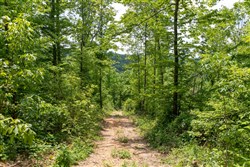 property photo for Cedar Creek Tract 30, 6.13 acres for sale in Perry County, Tennessee