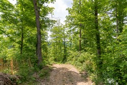 property photo for Cedar Creek Tract 30, 6.13 acres for sale in Perry County, Tennessee