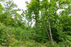 property photo for Cedar Creek Tract 30, 6.13 acres for sale in Perry County, Tennessee