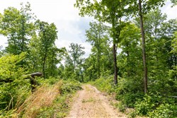 property photo for Cedar Creek Tract 30, 6.13 acres for sale in Perry County, Tennessee