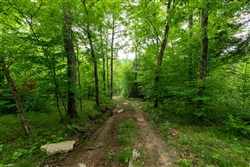 property photo for Cedar Creek Tract 31, 5.66 acres for sale in Perry County, Tennessee