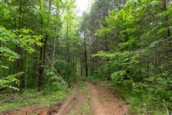 property photo for Cedar Creek Tract 31, 5.66 acres for sale in Perry County, Tennessee