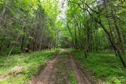 property photo for Cedar Creek Tract 32, 6.47 acres for sale in Perry County, Tennessee
