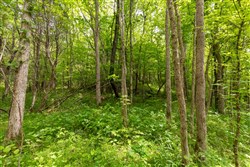 property photo for Cedar Creek Tract 32, 6.47 acres for sale in Perry County, Tennessee