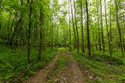 property photo for Cedar Creek Tract 32, 6.47 acres for sale in Perry County, Tennessee