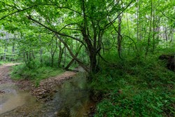 property photo for Cedar Creek Tract 33, 5.05 acres for sale in Perry County, Tennessee