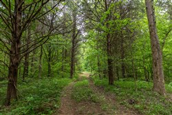 property photo for Cedar Creek Tract 34, 5.19 acres for sale in Perry County, Tennessee