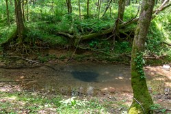 property photo for Cedar Creek Tract 34, 5.19 acres for sale in Perry County, Tennessee