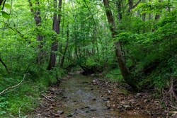 property photo for Cedar Creek Tract 34, 5.19 acres for sale in Perry County, Tennessee