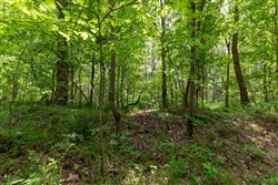 property photo for Cedar Creek Tract 34, 5.19 acres for sale in Perry County, Tennessee