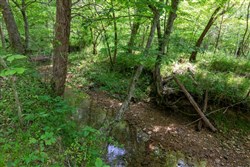 property photo for Cedar Creek Tract 35, 5.84 acres for sale in Perry County, Tennessee