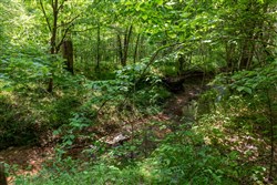 property photo for Cedar Creek Tract 35, 5.84 acres for sale in Perry County, Tennessee