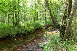property photo for Cedar Creek Tract 35, 5.84 acres for sale in Perry County, Tennessee
