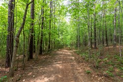 Cedar Creek Tract 37