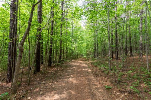 Cedar Creek Tract 37