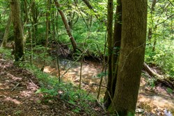 Cedar Creek Tract 37