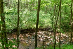 Cedar Creek Tract 37