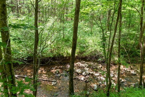 Cedar Creek Tract 37