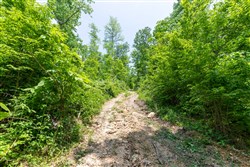 Cedar Creek Tract 37