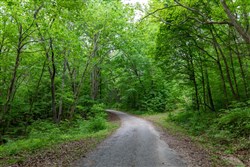 property photo for Cedar Creek Tract 38, 6.27 acres for sale in Perry County, Tennessee