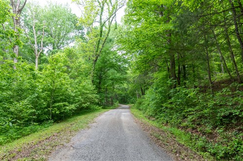 Cedar Creek Tract 39