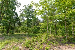 property photo for Cedar Creek Tract 4, 5.04 acres for sale in Perry County, Tennessee