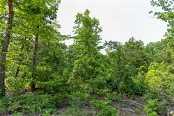 property photo for Cedar Creek Tract 4, 5.04 acres for sale in Perry County, Tennessee