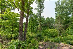property photo for Cedar Creek Tract 4, 5.04 acres for sale in Perry County, Tennessee