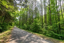 property photo for Cedar Creek Tract 42, 6.17 acres for sale in Perry County, Tennessee