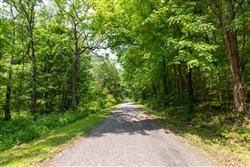property photo for Cedar Creek Tract 43, 5.34 acres for sale in Perry County, Tennessee