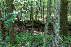 property photo for Cedar Creek Tract 43, 5.34 acres for sale in Perry County, Tennessee