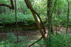 property photo for Cedar Creek Tract 43, 5.34 acres for sale in Perry County, Tennessee
