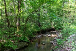 property photo for Cedar Creek Tract 44, 6.33 acres for sale in Perry County, Tennessee