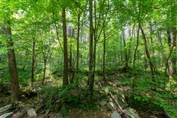 property photo for Cedar Creek Tract 44, 6.33 acres for sale in Perry County, Tennessee