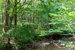 property photo for Cedar Creek Tract 44, 6.33 acres for sale in Perry County, Tennessee
