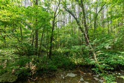 property photo for Cedar Creek Tract 44, 6.33 acres for sale in Perry County, Tennessee