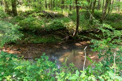 property photo for Cedar Creek Tract 45, 6.75 acres for sale in Perry County, Tennessee