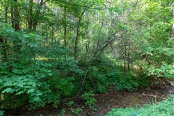 property photo for Cedar Creek Tract 45, 6.75 acres for sale in Perry County, Tennessee