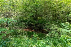 property photo for Cedar Creek Tract 45, 6.75 acres for sale in Perry County, Tennessee