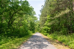 property photo for Cedar Creek Tract 46, 8.9 acres for sale in Perry County, Tennessee