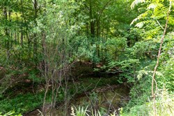 property photo for Cedar Creek Tract 46, 8.9 acres for sale in Perry County, Tennessee