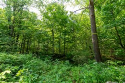 property photo for Cedar Creek Tract 46, 8.9 acres for sale in Perry County, Tennessee